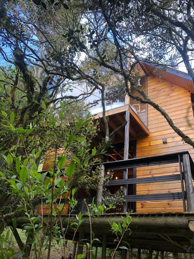 Morada Alto Das Nuvens Sao Jose dos Ausentes Zewnętrze zdjęcie